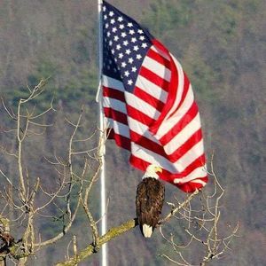 Meet your Posher, Shawn